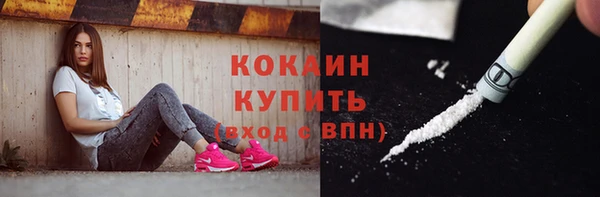 ПСИЛОЦИБИНОВЫЕ ГРИБЫ Бородино