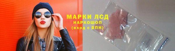 ПСИЛОЦИБИНОВЫЕ ГРИБЫ Бородино