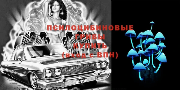 ПСИЛОЦИБИНОВЫЕ ГРИБЫ Бородино
