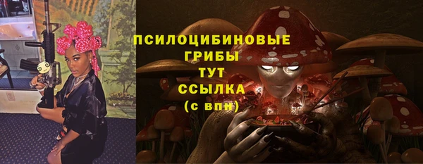 ПСИЛОЦИБИНОВЫЕ ГРИБЫ Бородино