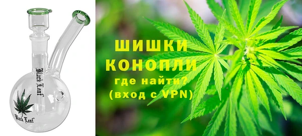 ПСИЛОЦИБИНОВЫЕ ГРИБЫ Бородино